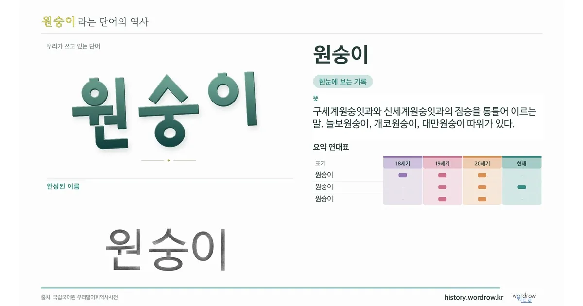 원숭이 대표 이미지