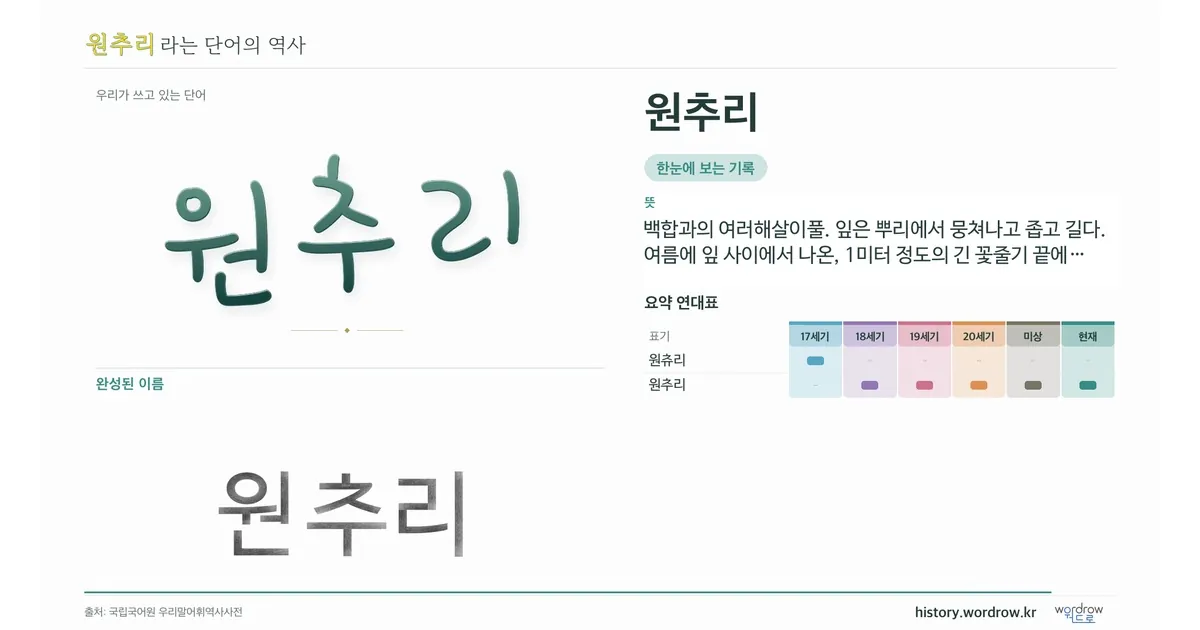 원추리 대표 이미지