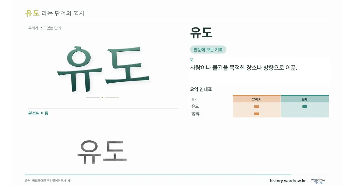 유도 대표 이미지