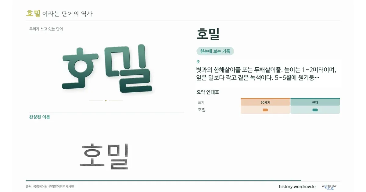호밀 대표 이미지