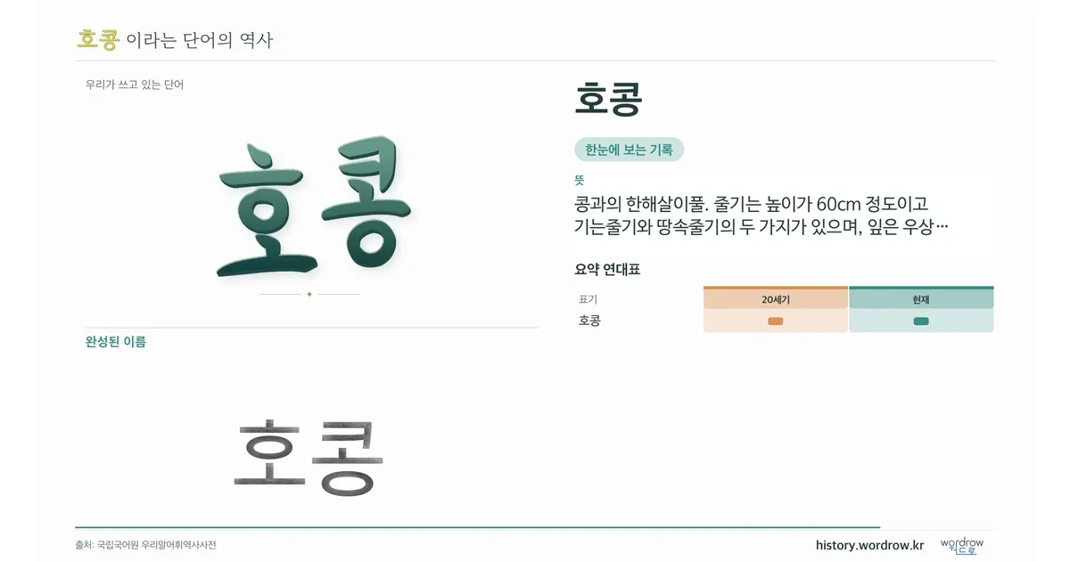 호콩 대표 이미지