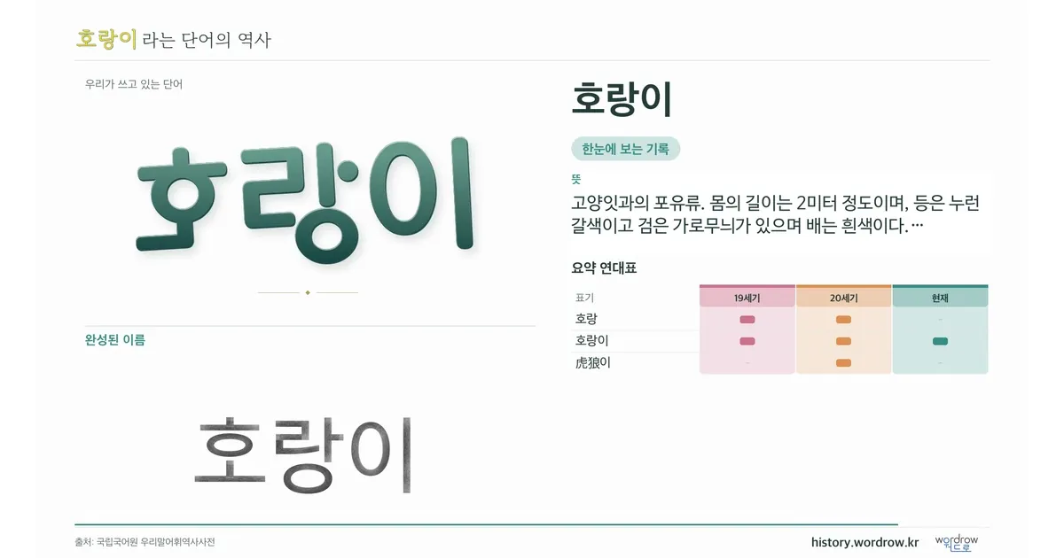 호랑이 대표 이미지