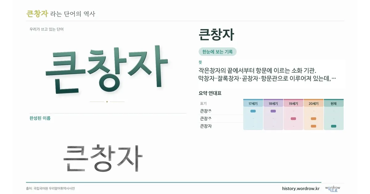 큰창자 대표 이미지