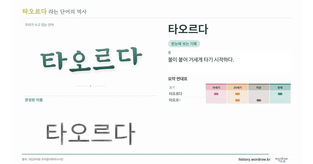 타오르다 대표 이미지