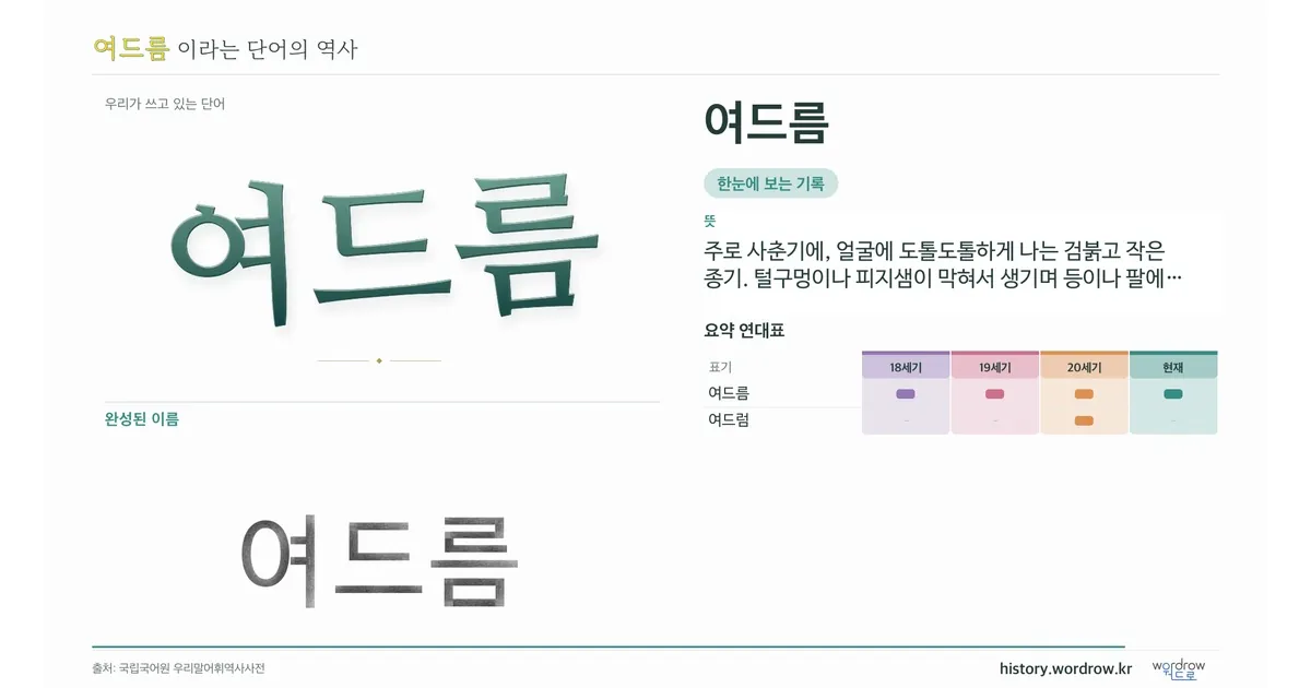 여드름 대표 이미지