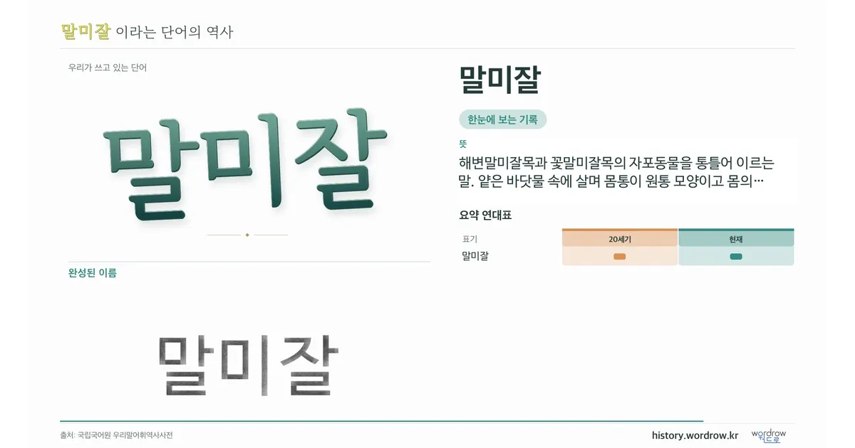 말미잘 대표 이미지