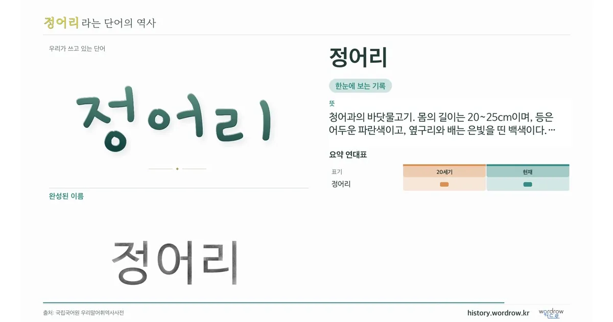 정어리 대표 이미지