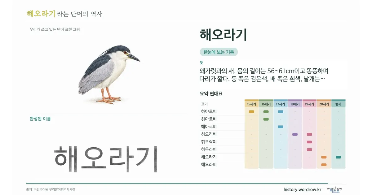 해오라기 대표 이미지