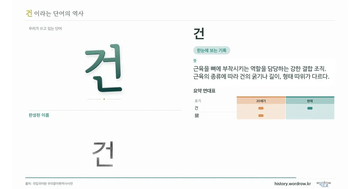 건 대표 이미지