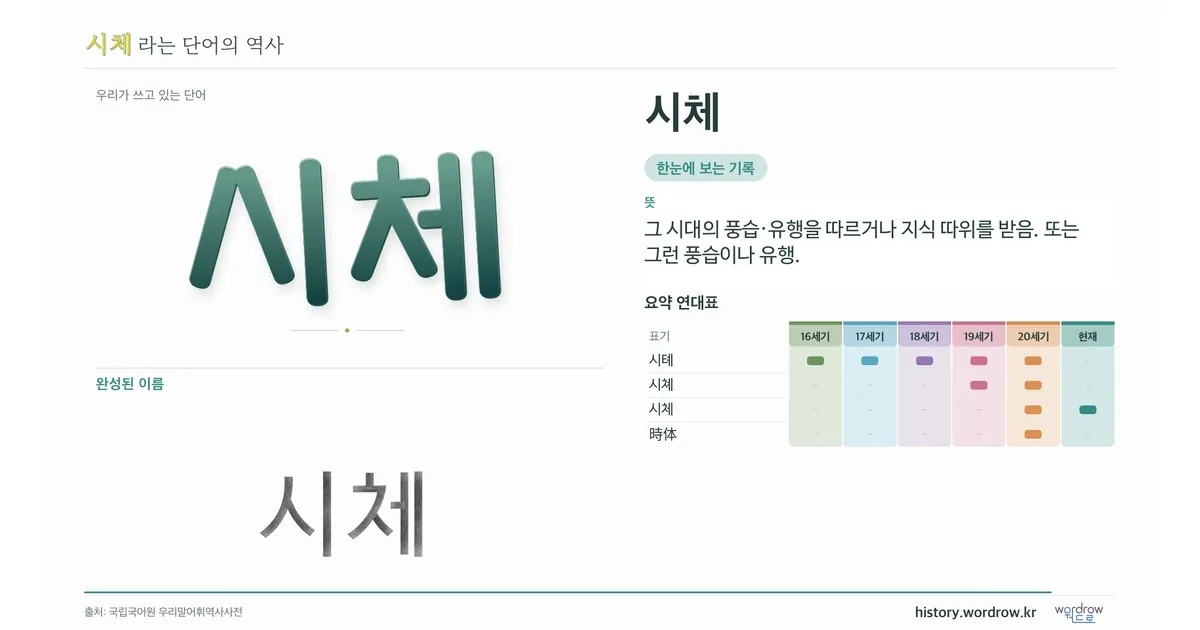시체 대표 이미지