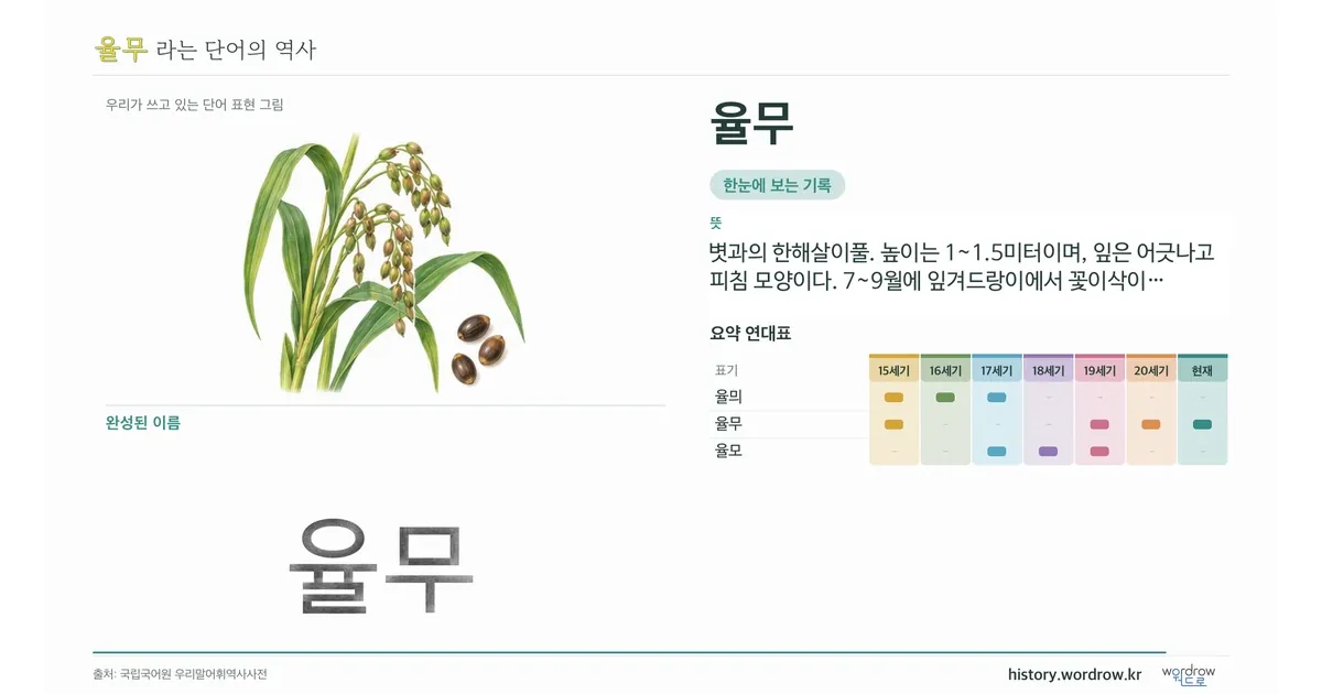 율무 대표 이미지
