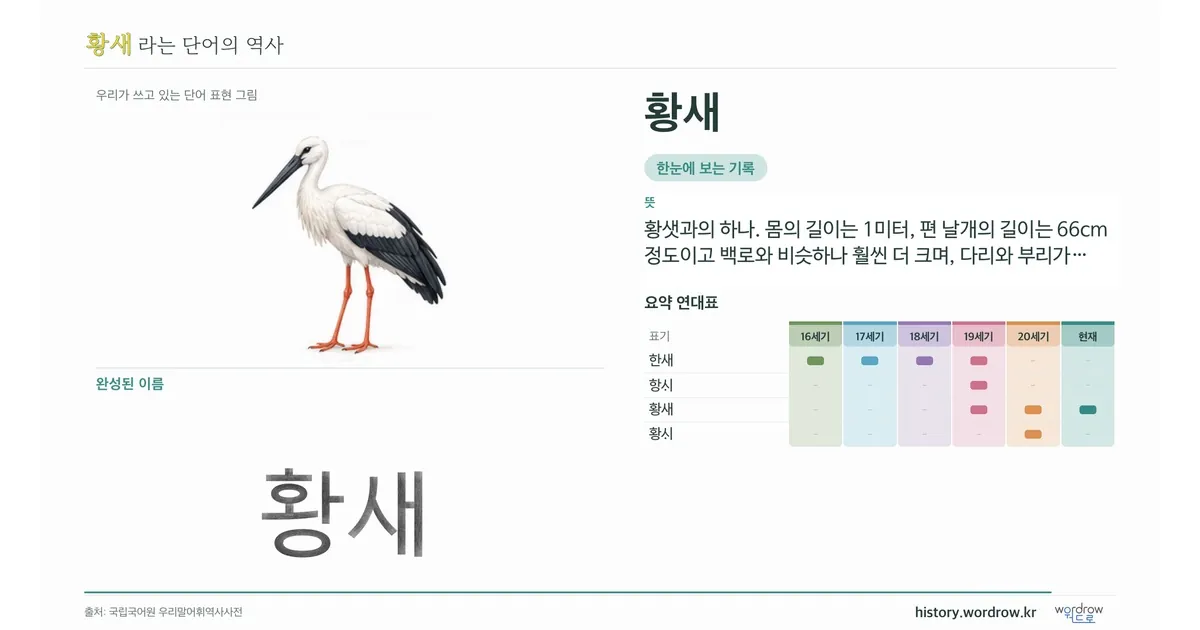 황새 대표 이미지