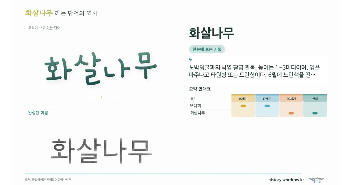 화살나무 대표 이미지