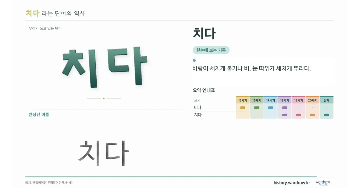 치다 대표 이미지