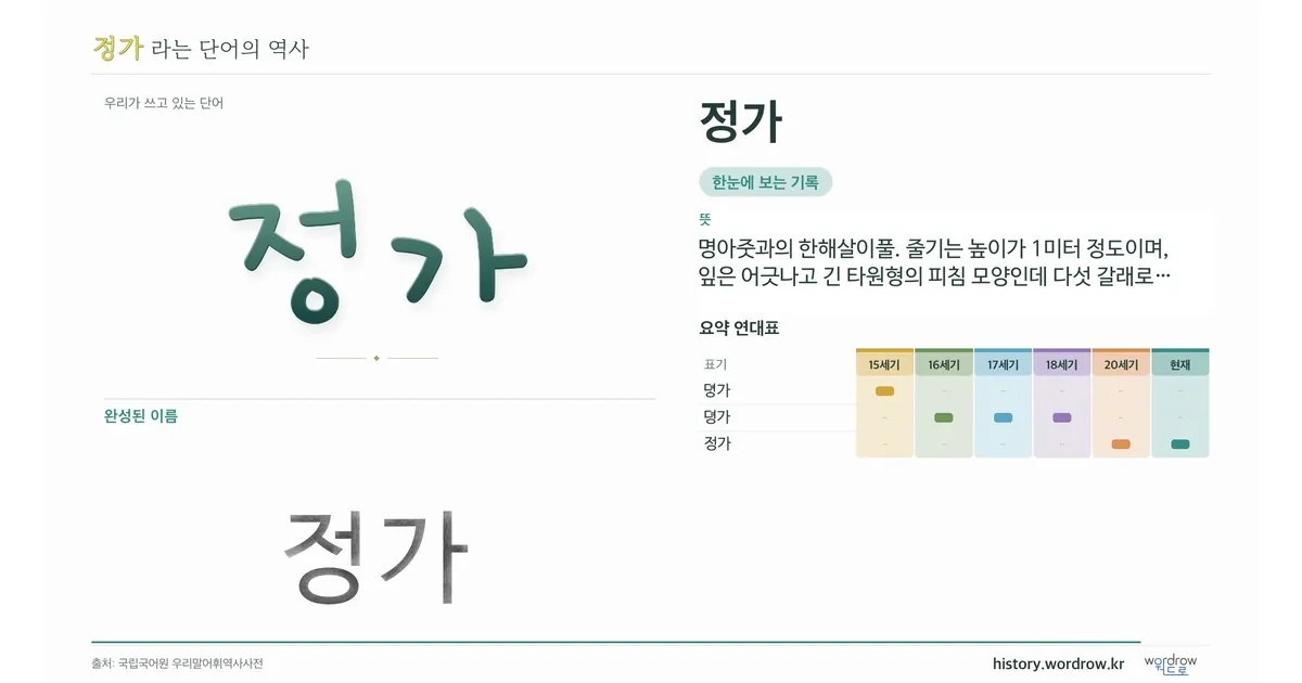 정가 대표 이미지