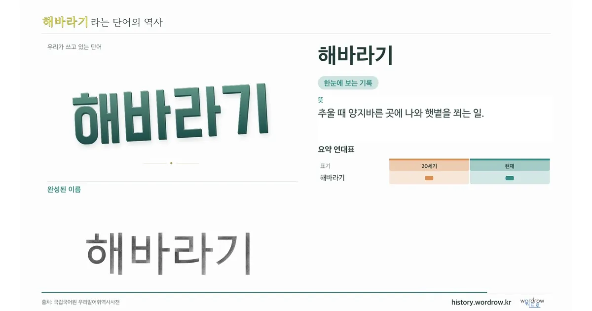 해바라기 대표 이미지