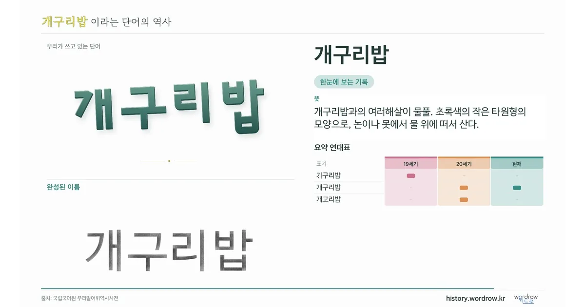개구리밥 대표 이미지
