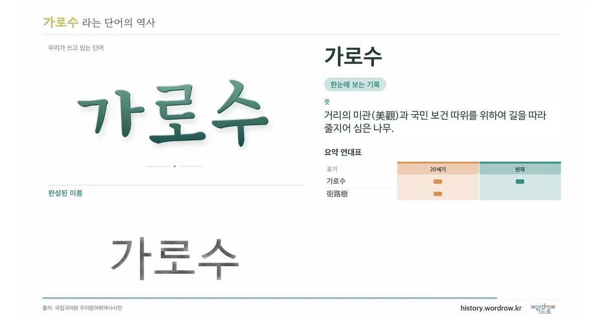 가로수 대표 이미지