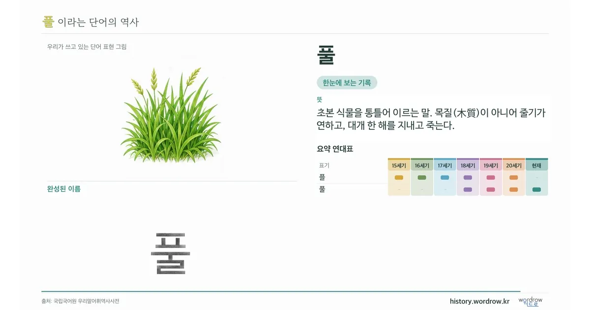 풀 대표 이미지
