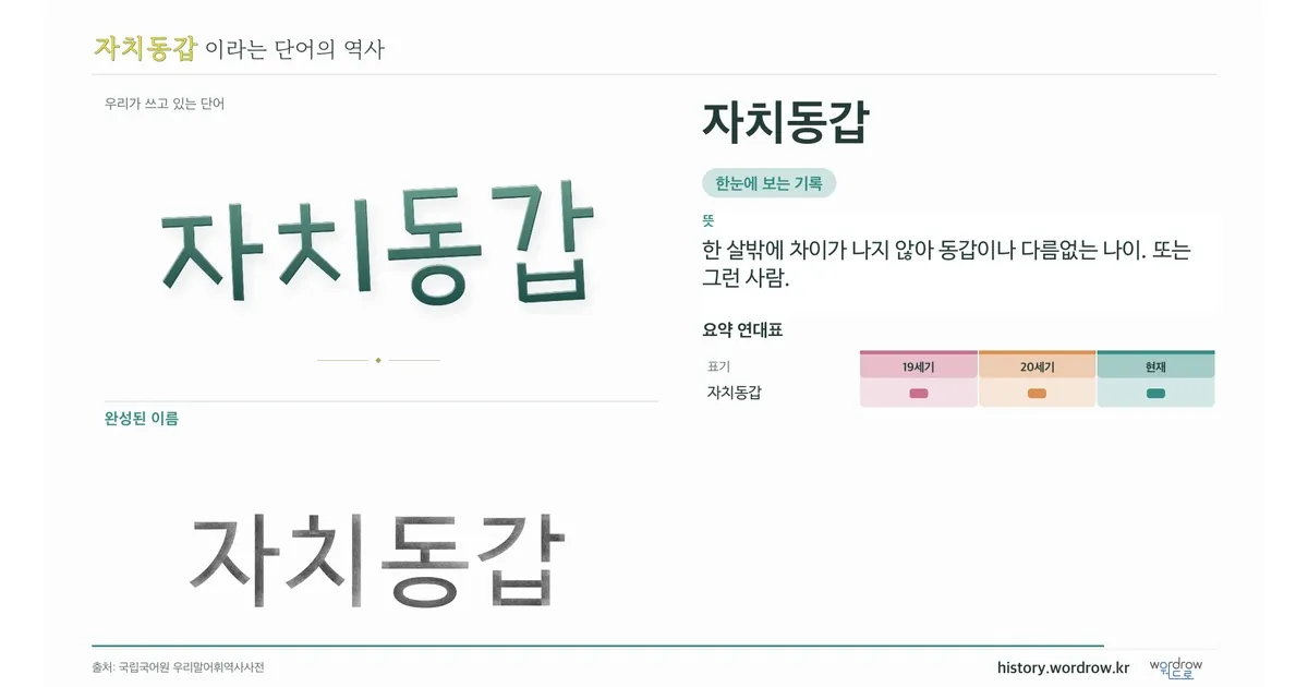자치동갑 대표 이미지