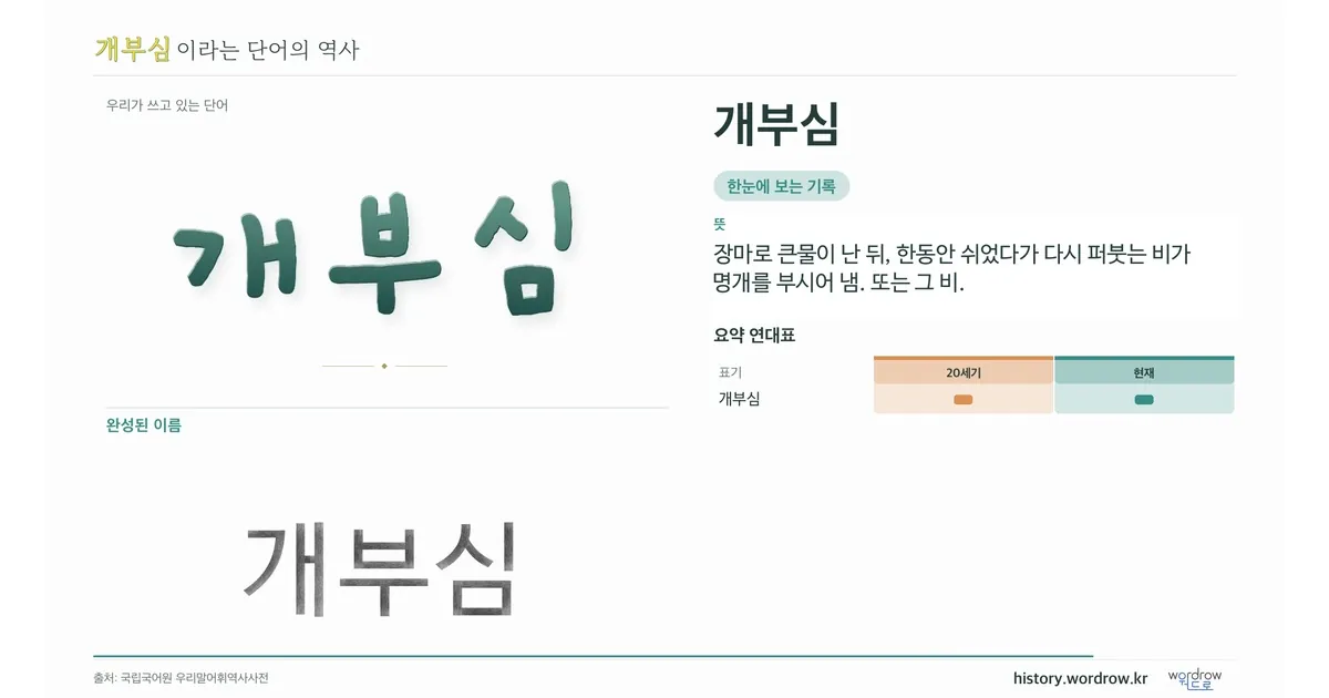 개부심 대표 이미지
