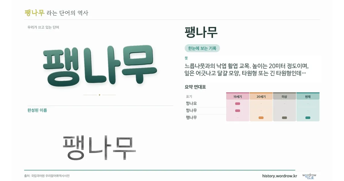 팽나무 대표 이미지
