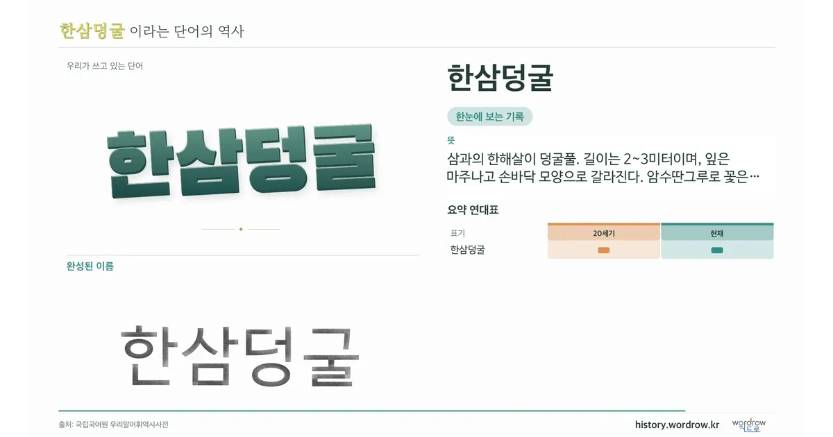 한삼덩굴 대표 이미지