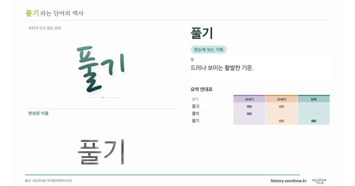 풀기 대표 이미지