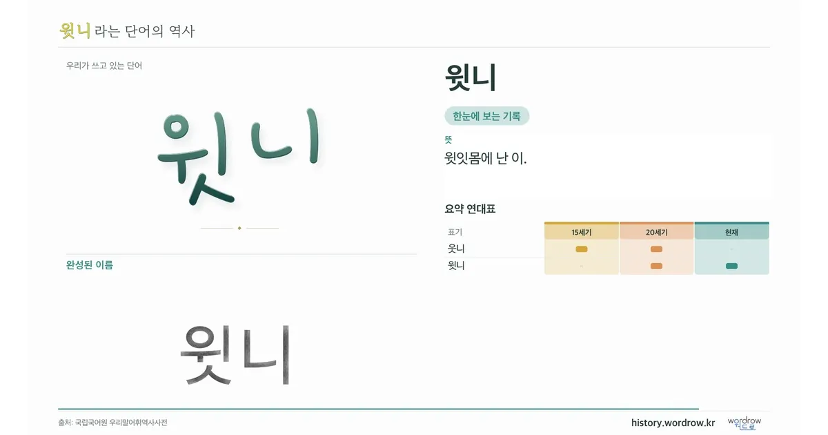 윗니 대표 이미지