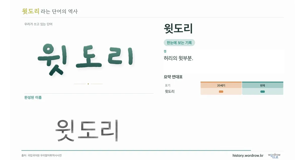 윗도리 대표 이미지