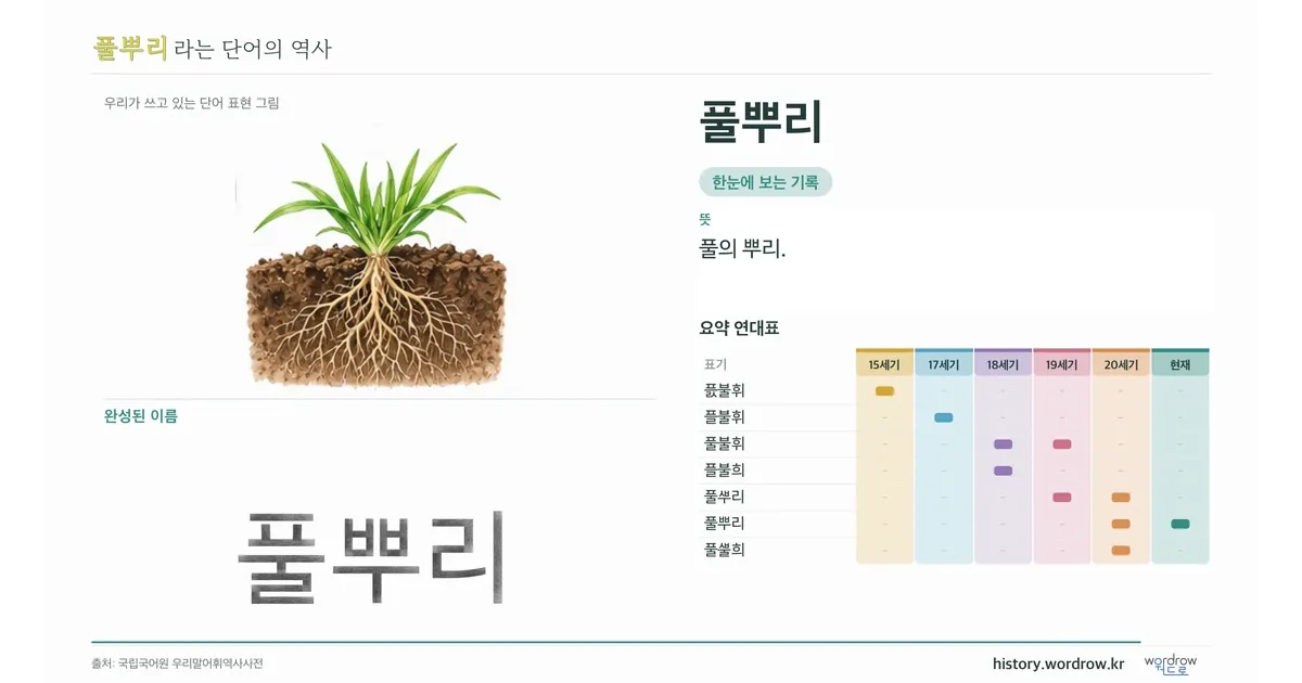 풀뿌리 대표 이미지