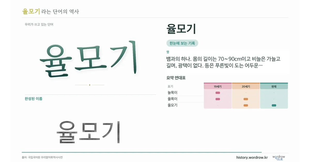 율모기 대표 이미지