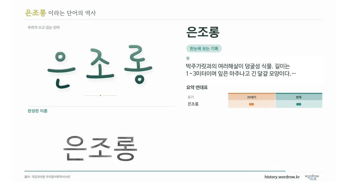 은조롱 대표 이미지
