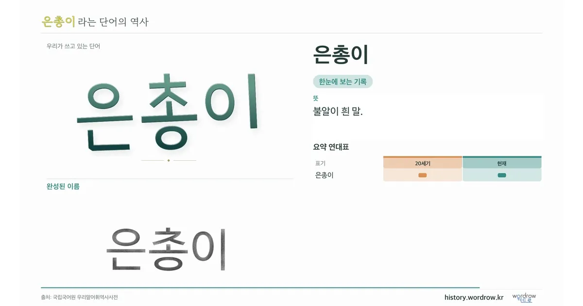 은총이 대표 이미지