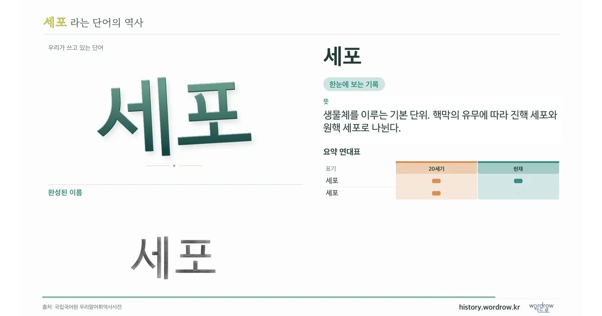 세포 대표 이미지