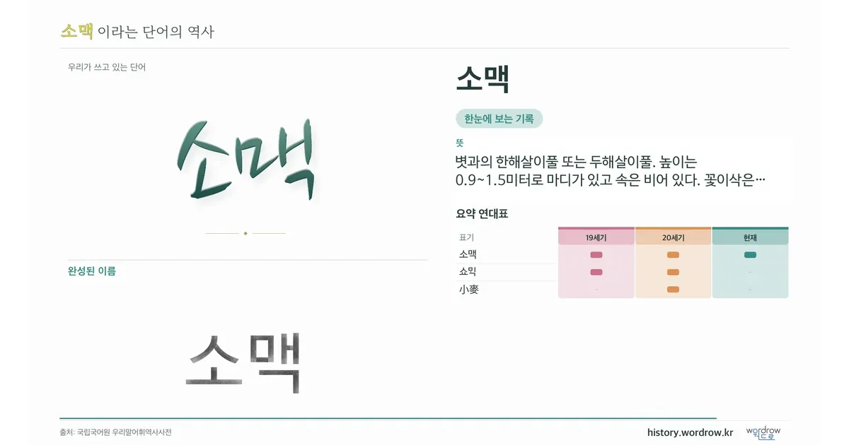 소맥 대표 이미지