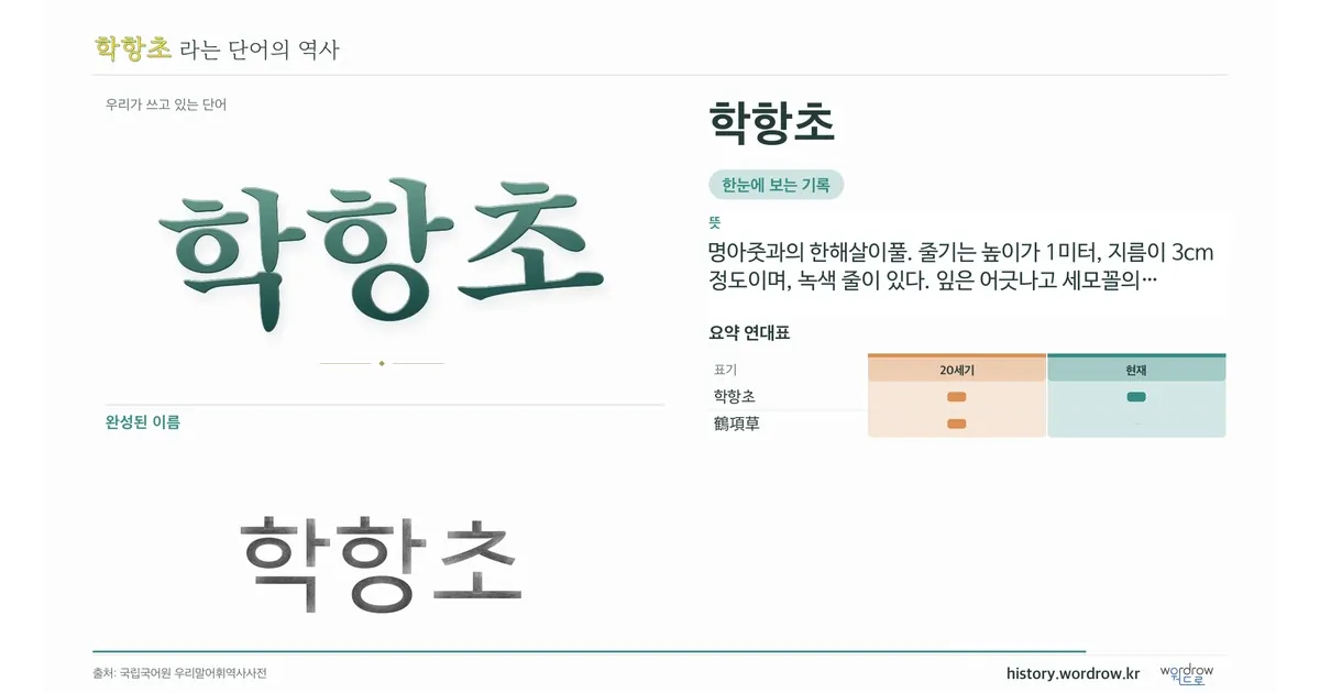 학항초 대표 이미지