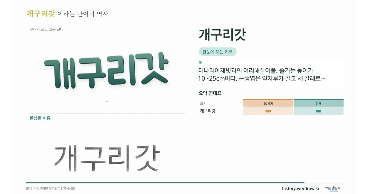 개구리갓 대표 이미지