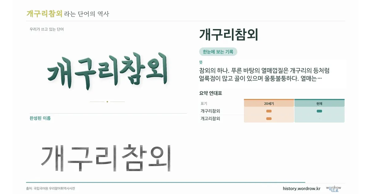 개구리참외 대표 이미지