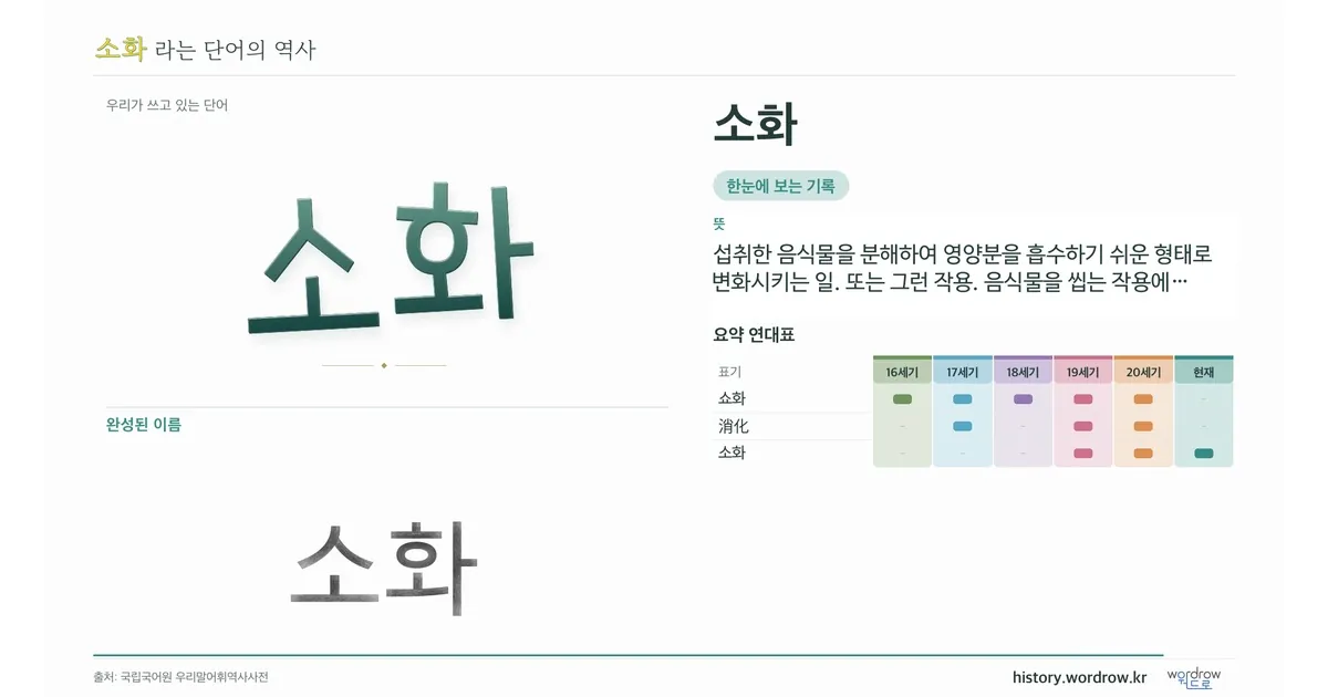소화 대표 이미지