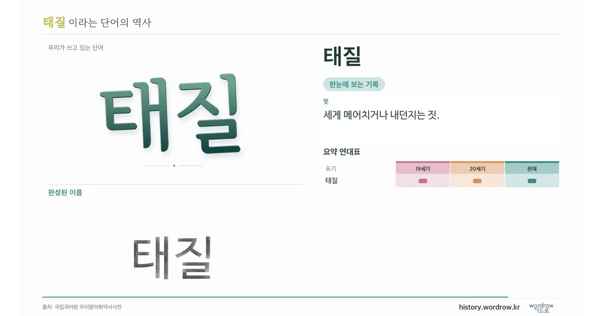 태질 대표 이미지