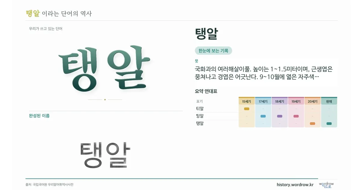 탱알 대표 이미지