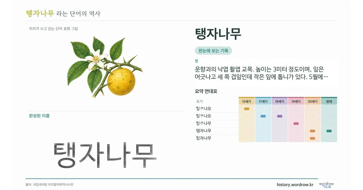 탱자나무 대표 이미지