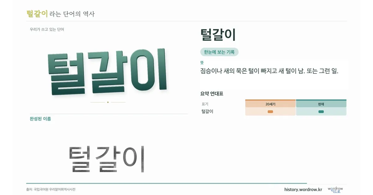 털갈이 대표 이미지