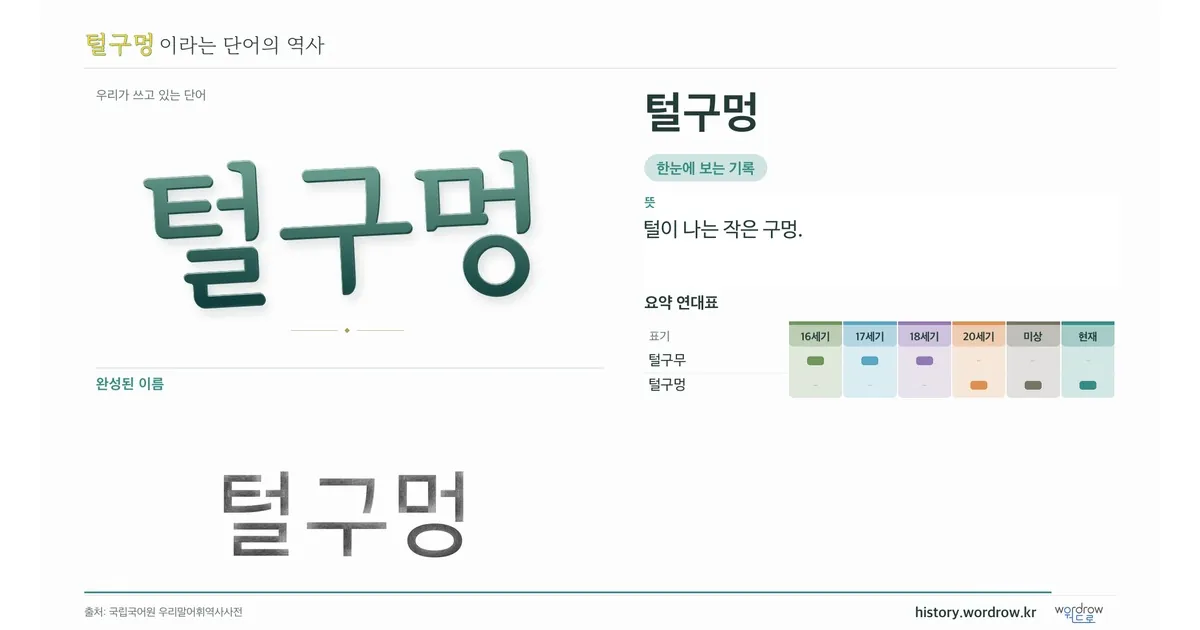 털구멍 대표 이미지