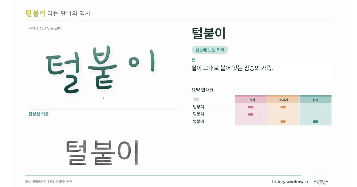털붙이 대표 이미지
