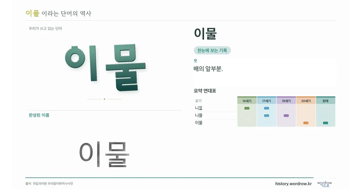 이물 대표 이미지