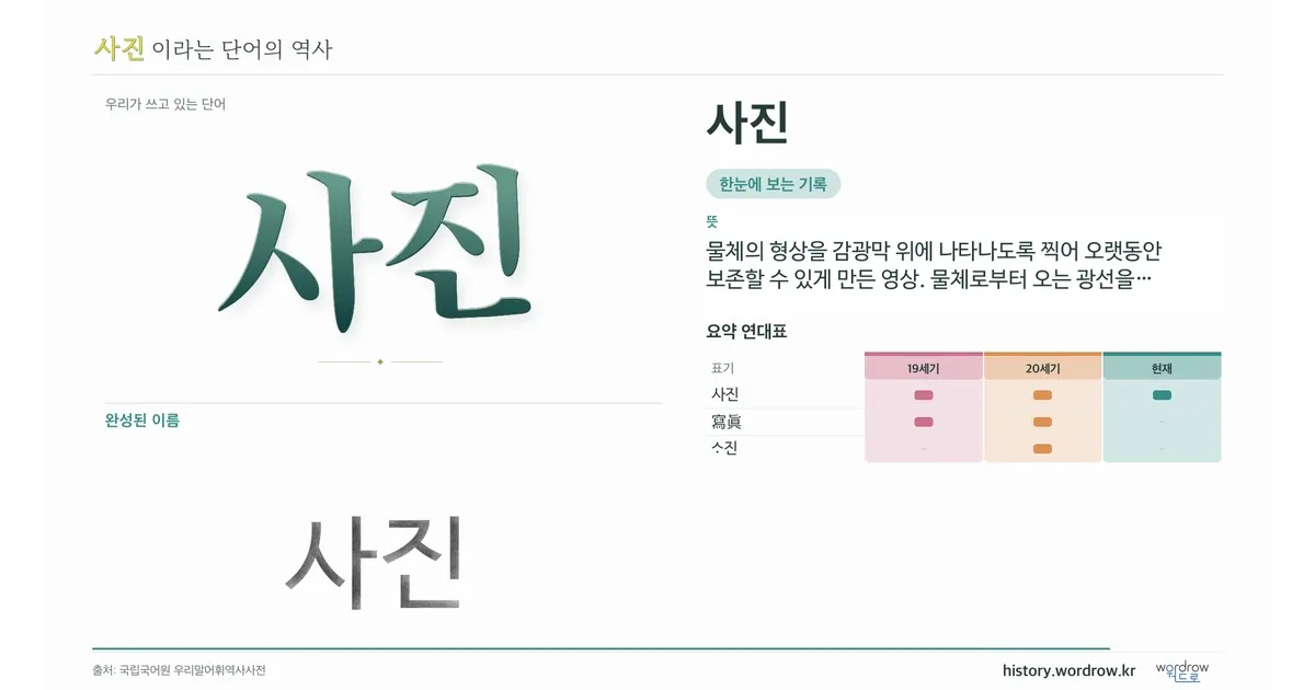 사진 대표 이미지
