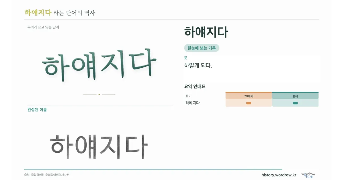 하얘지다 대표 이미지