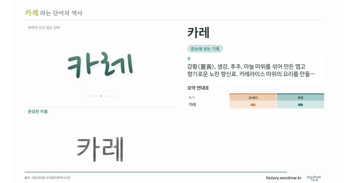 카레 대표 이미지